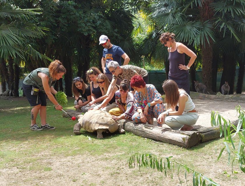 Zoo al Maglio: 1-Day Ticket for the Jungle of Ticino - Getting there from Lugano or Ponte Tresa (S60 train tip)