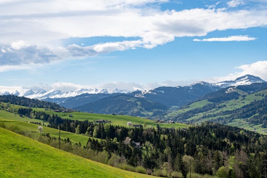 Zurich: Appenzell Day Trip with Farm Visit & Cheese Tasting - Guided walk through Appenzell: wooden houses and lively squares