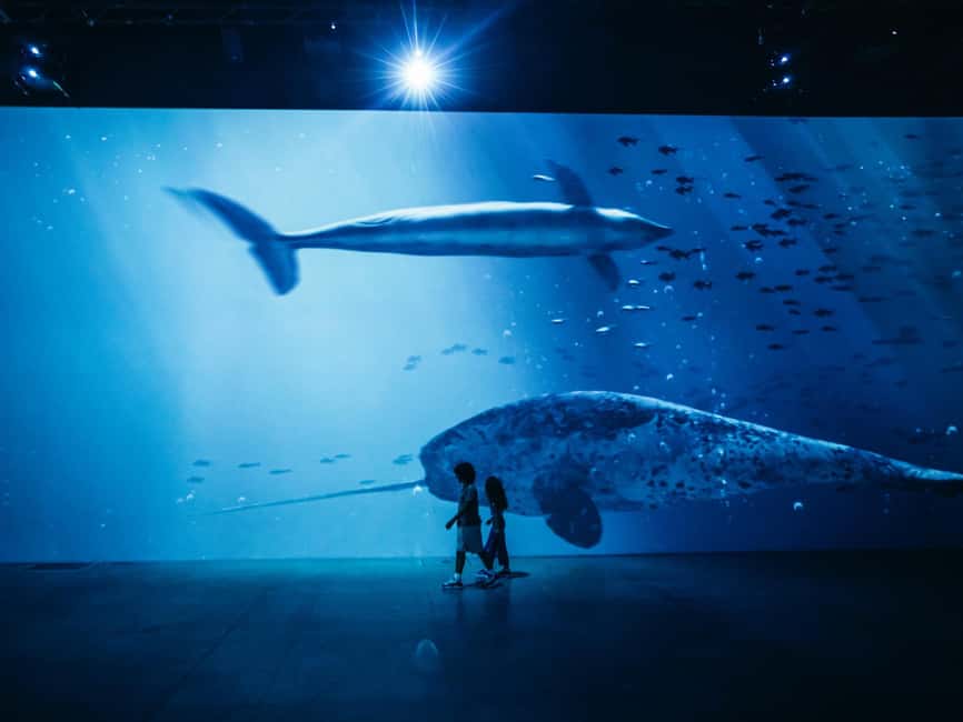 Zurich: Entrance ticket to the "Titanic" immersive exhibition at Lichthalle Maag - Price in Zurich: is $50 worth it?