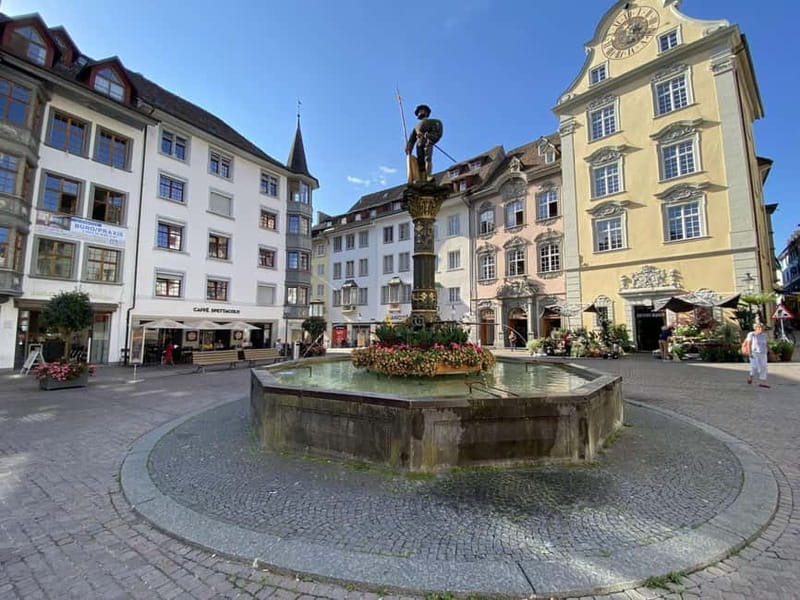 Zurich: Half-Day Trip to Rhine Falls & Historic Schaffhausen - Guided Stops That Keep You From Missing the Best Bits