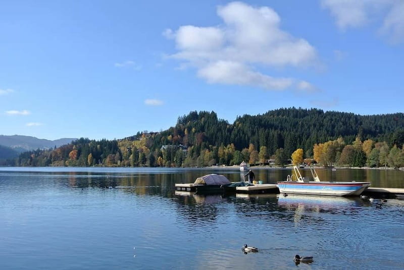 Zürich/Lucerne: Rhine Falls, Titisee & Black Forest Day Trip - Zurich or Lucerne pickup, and why the first hour sets your mood