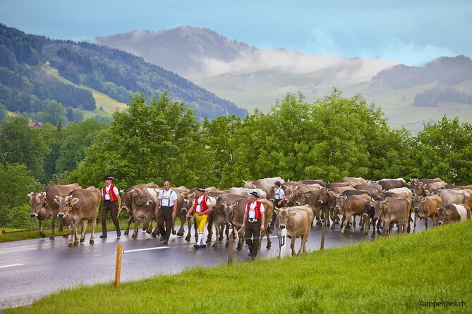 Zurich Open Top Bus, Chocolate and Cheese Factory Tour Appenzell - Appenzell on your own: streets, frescoes, and that Swiss small-town feel