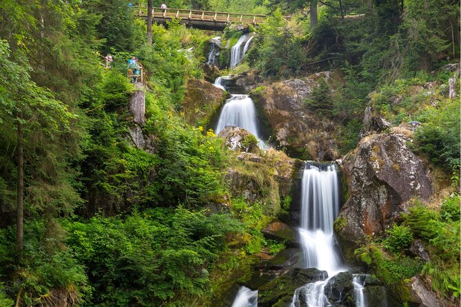 Zürich: Private Car Tour to Rhine Falls, Titisee and Black Forest - Schaffhausen in 30 Minutes: A Quick Hit of Baroque River Beauty