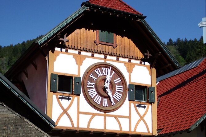 Zürich: Private Car Tour to Rhine Falls, Titisee and Black Forest - Timing, Pace, and What to Pack for a Full 10 to 11 Hour Day