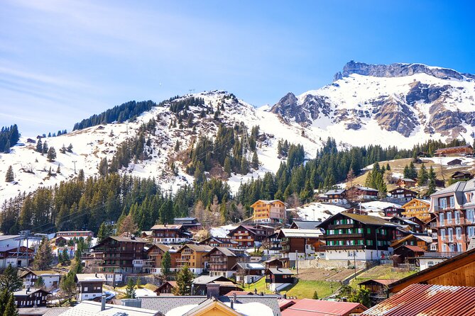 Zurich: Private Daytrip to Swiss Villages(Interlaken-Grindelwald) - Price and logistics: is $264.50 per person good value?