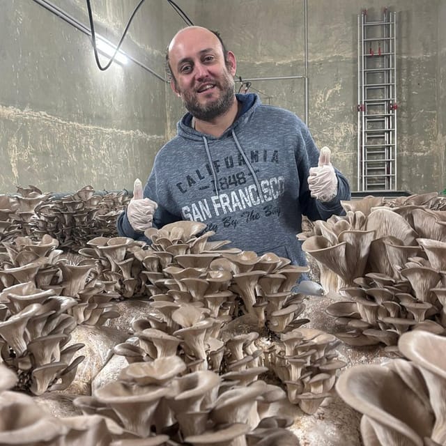 Zurich's best-kept secret: the hidden world of mushrooms! - Touch, Smell, and Taste: Learning with Your Senses