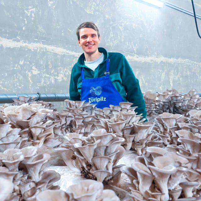 Zurich's best-kept secret: the hidden world of mushrooms! - Getting There on Public Transit, and What to Bring