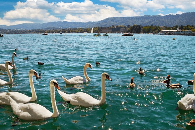Zurich with Cruise and Lindt Home of Chocolate Private tour - Timing and Duration: A 4 to 5 Hour Plan That Moves